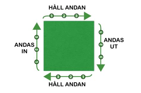 andas i fyrkant bild|Lär dig andas rätt med andningstekniker 